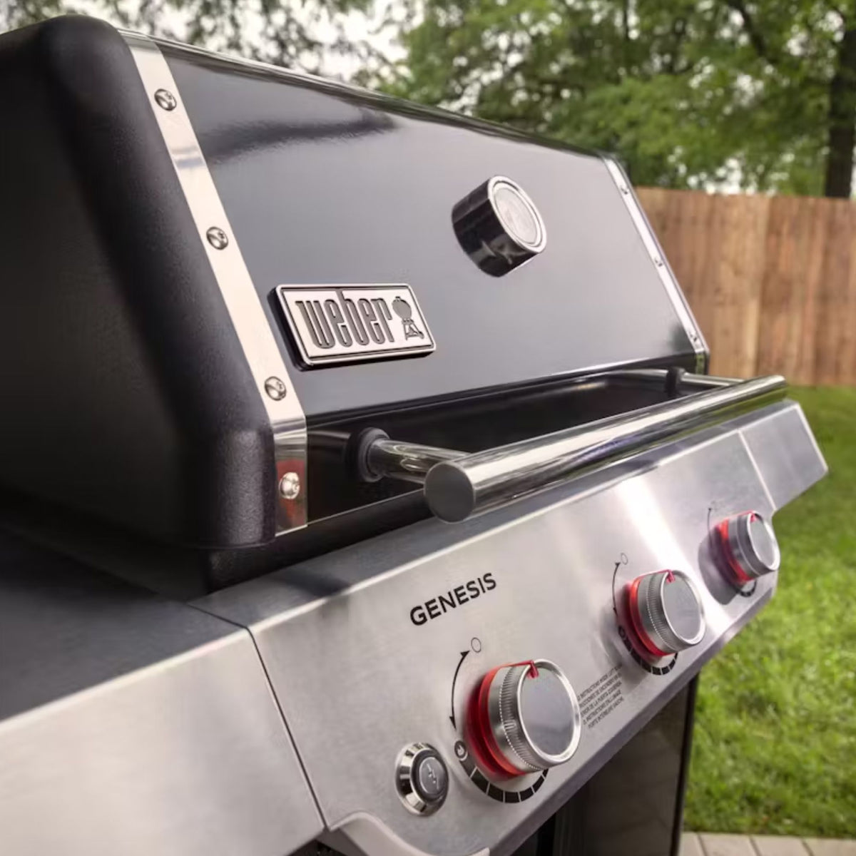 Churrasquera a Gas Genesis E-315