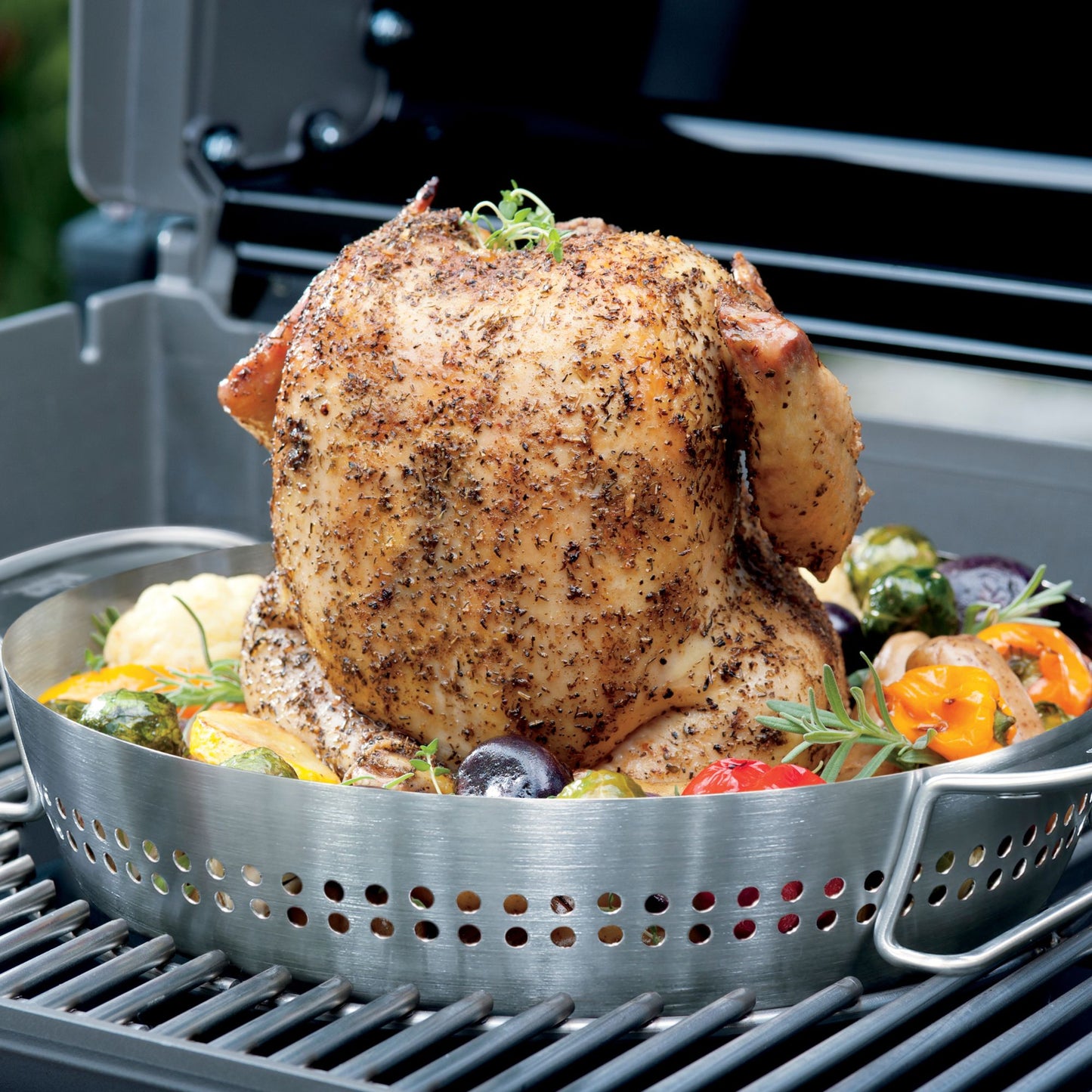 GBS-Veggie Poultry Roaster