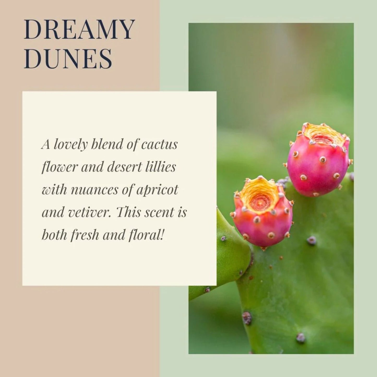 Foton Vela de Perlas de Cera