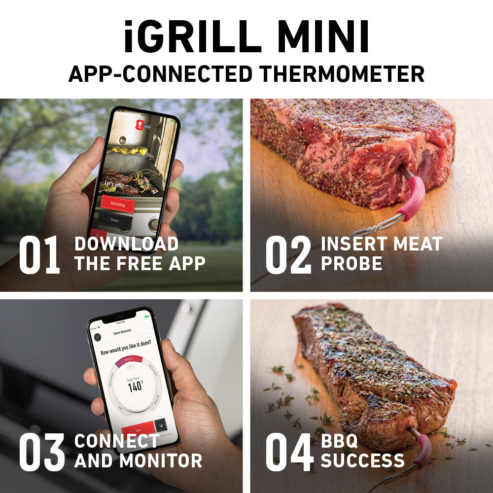 iGrill Mini