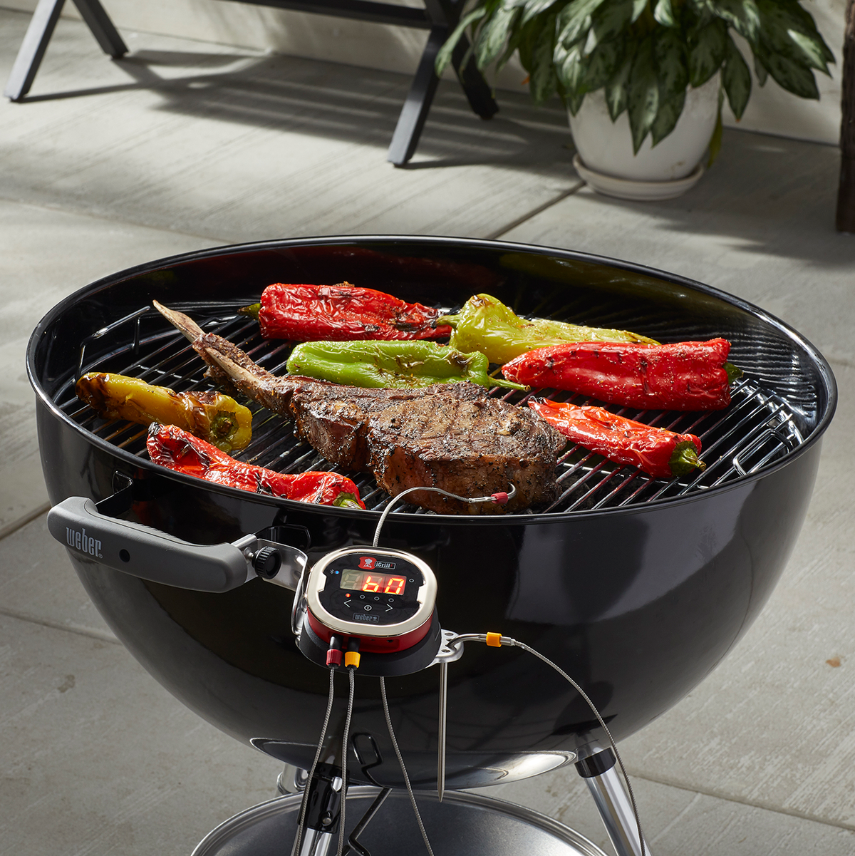 Termómetro iGrill 2