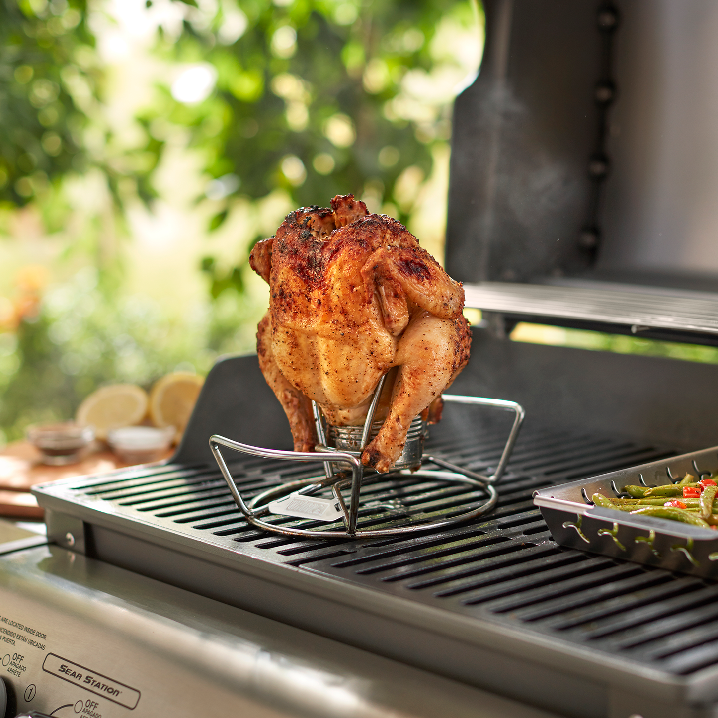 Soporte para pollo