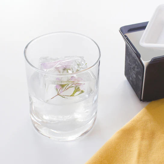 Moldes para cubos de hielo