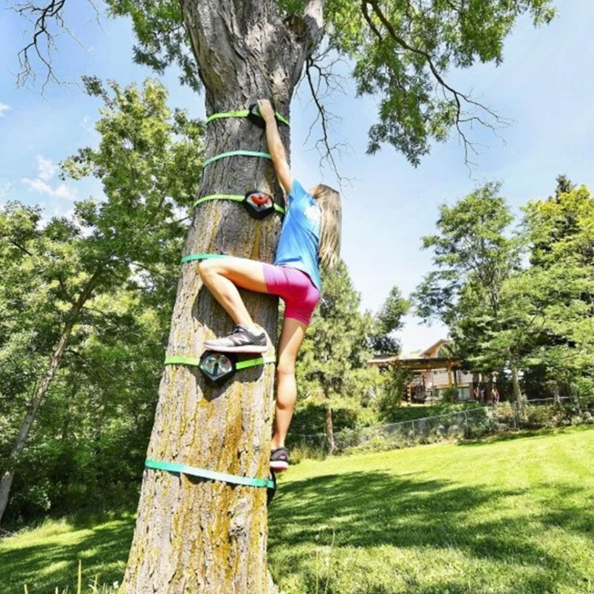 Ripline selling Tree Climbers