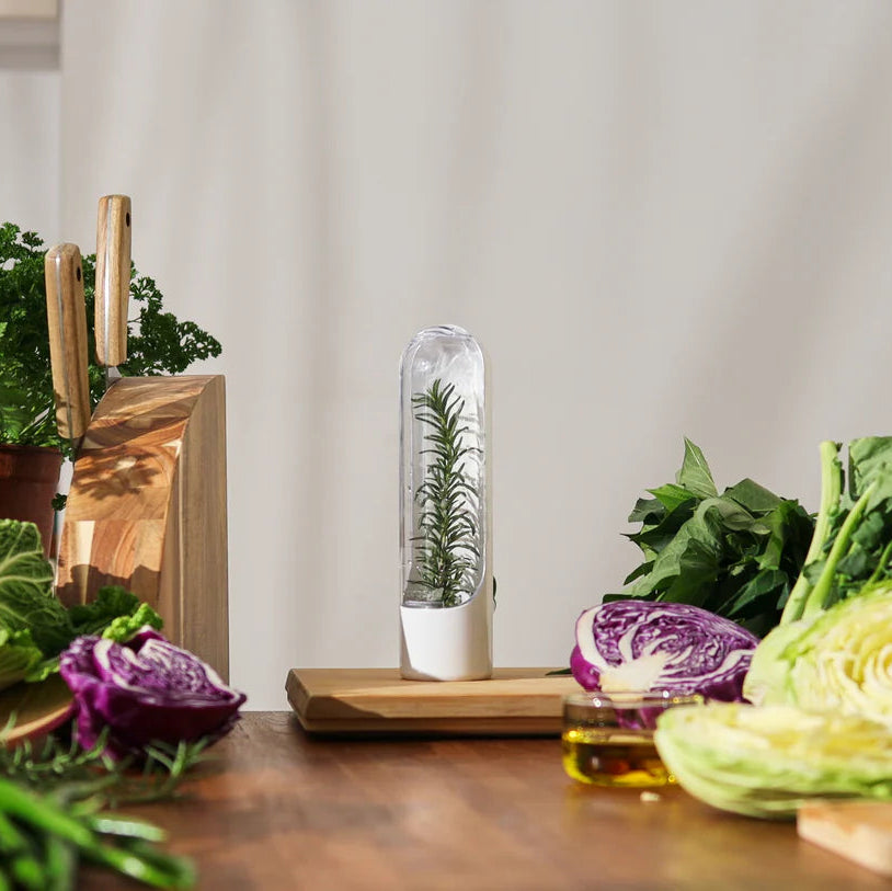 Herb Savor Pod 2.0